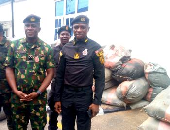 Nigerian Navy hands over 187 bags of cannabis sativa to NDLEA