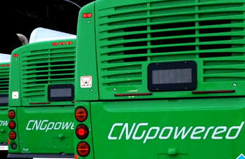 CNG Bus Inauguration: a transport sector revolution unfolds