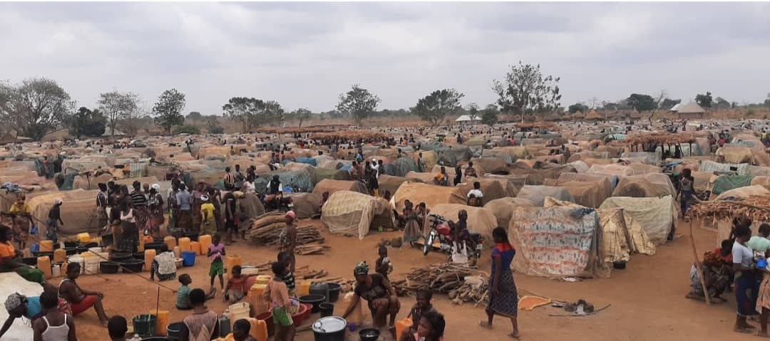 IDPs: FG requests development partners, donor agencies to deploy to ...