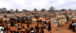 IDPs: FG requests development partners, donor agencies to deploy to Benue 