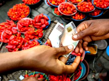 Inflation rate eases to 33.4% in July