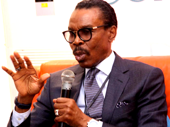 Forex crisis: Raiding of Bureau de Change counterproductive — Bismarck Rewane