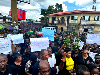 Conservationists, CSOs, warn against Chinese incursion into Cross River forests