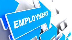 Balancing employment opportunities between citizens and expats in Nigeria