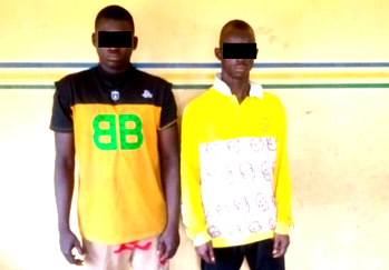 Police arrest two for stealing Dangote truck in Ogun
