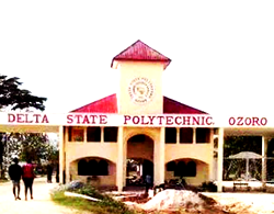 NANS condemns gruesome killing of Delta polytechnic students, calls for justice