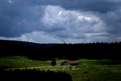 French love triangle ends in killing, shallow grave