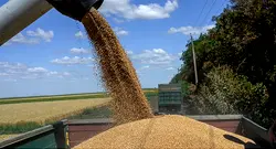 Ukraine sends 25,000 tons of grain to Nigeria