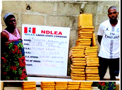 NDLEA nabs 70-year-old grandma, her son for drug trafficking