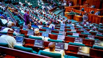 Reps query Customs over non-submission of 3 years audited financial statement