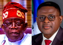 Cameroon-Ambazonian War: After Bakassi, Nigeria may lose 3 more LGAs to Cameroon
