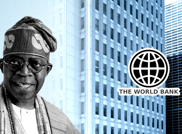 Nigeria will need 15 years to transform economy – World Bank VP