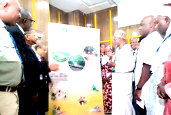 Climate Change: FG to plant 2 billion trees