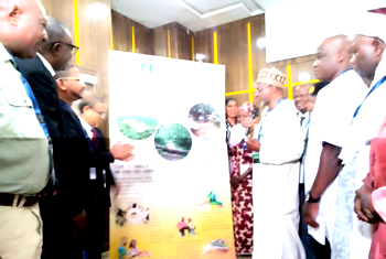 Climate Change: FG to plant 2 billion trees
