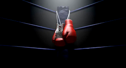 ‘Chaos in the Ring’ boxing night: Adamu promises fans an unforgettable night 