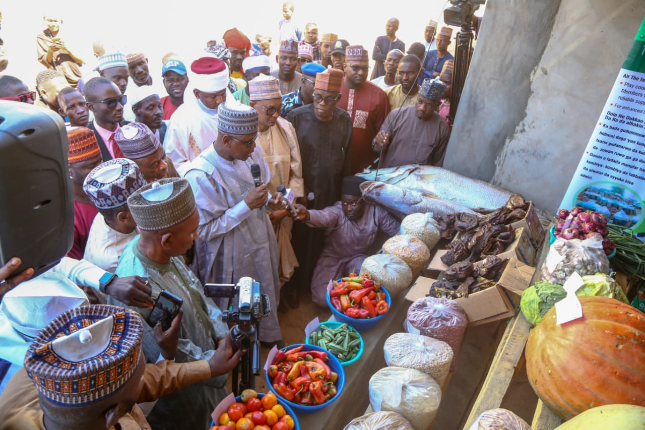 Food Security: Why Sokoto River Basin, others need partial commercialization – Minister