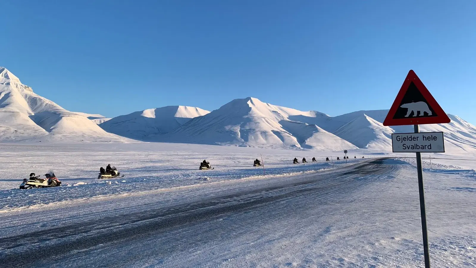 Svalbard, town where it’s ‘illegal to die’, cats are banned and guns