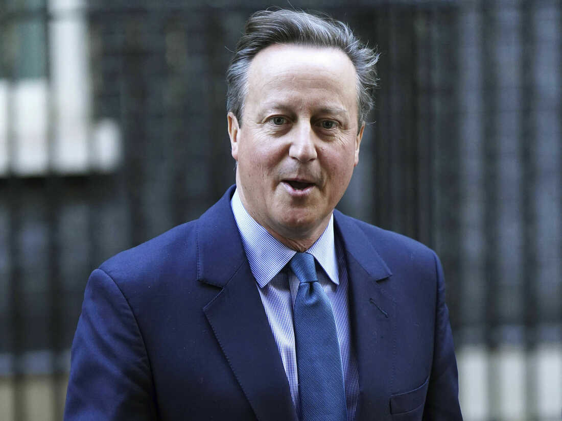 UK mulls recognising Palestine state - Cameron
