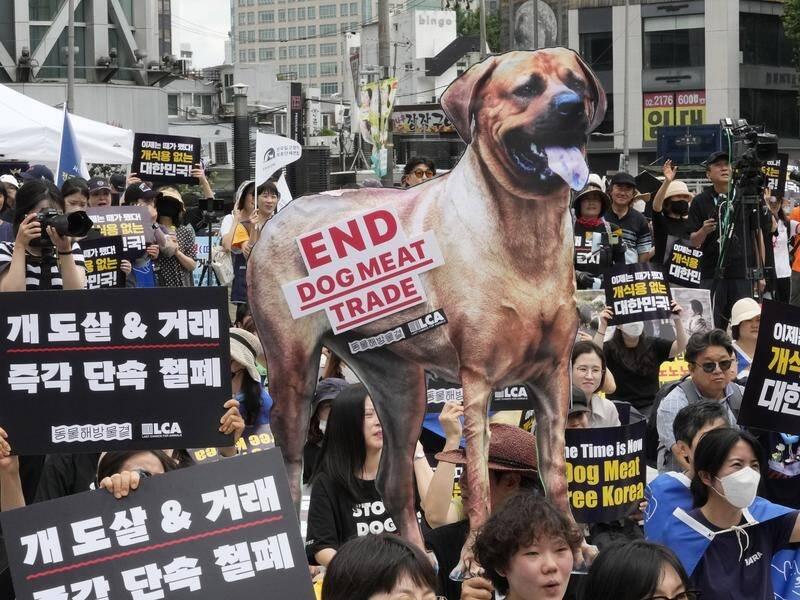 South Korea passes bill banning dog meat trade