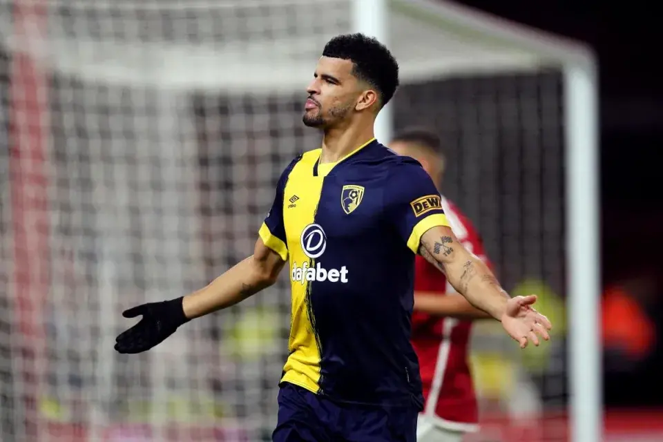 Bournemouth's Dominic Solanke wins Premier League player of the month -  Vanguard News