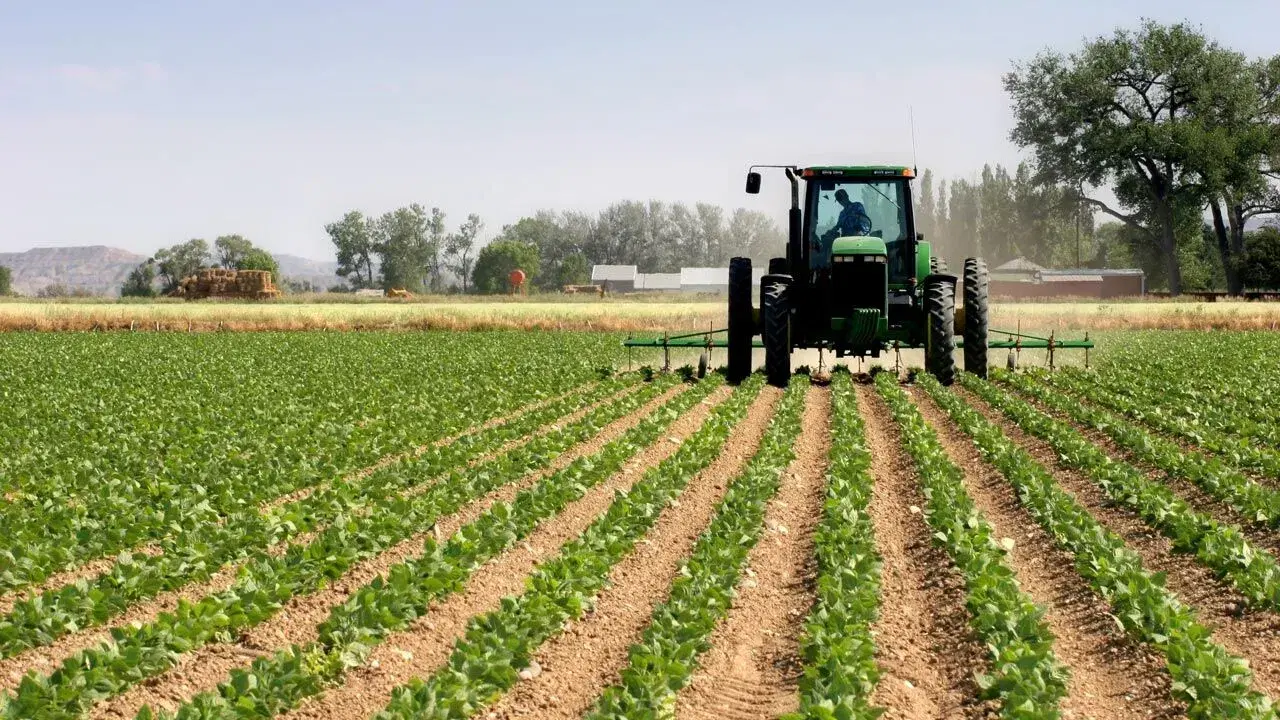 Planned cultivation of 500,000 hectares will tackle food inflation - Group