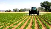 FG approves N30bn for universities of Agriculture to launch mechanized farming