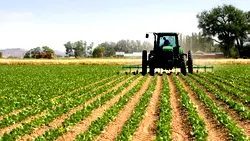 Farm launches foundation to enhance quality of life in Ekiti
