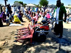 Borno FADAMA NG-CARES empowers 3,490 irrigation farmers with agricultural inputs