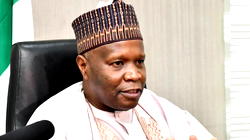 New Year: Gov. Yahaya pardons 39 inmates in Gombe
