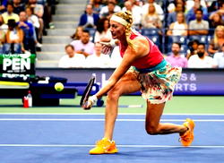 Pregnant Kvitova puts tennis career on hold