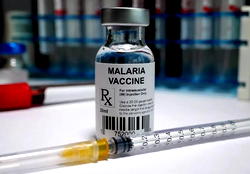 Three more African nations roll out malaria vaccine