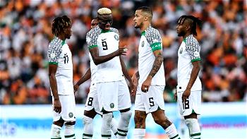 Fans urge Super Eagles to step up their game in AFCON Round of 16