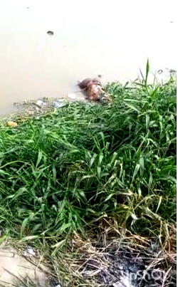 Body of 27-yr-old man recovered in Lagos lagoon