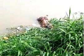 Body of 27-yr-old man recovered from Lagos lagoon