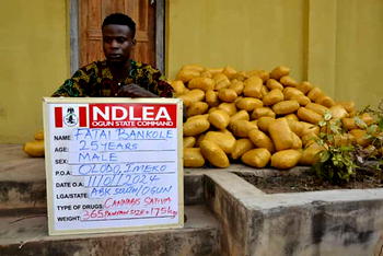 Army intercepts 365 packs of cannabis in Ogun