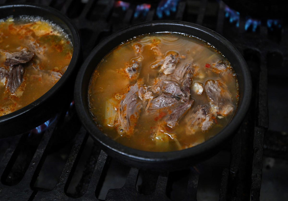 ‘Cows are living animals too’, vendors, customers oppose S. Korea dog meat ban