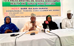 Insecurity: 6 Borno LGAs cut off from ongoing NDHS, says NPC Chairman