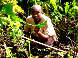 The 2024 Pilgrimage to Ogbobabou Forest in Akparemogbene