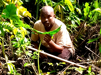 The 2024 Pilgrimage to Ogbobabou Forest in Akparemogbene