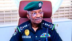 Reasons for IGP Egbetokun’s opposition to state police proposal