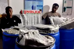 NDLEA Tincan command intercepted 876.453kg illicit drugs, others in 2023 – Commander