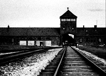 Around 245,000 Holocaust survivors alive – Study