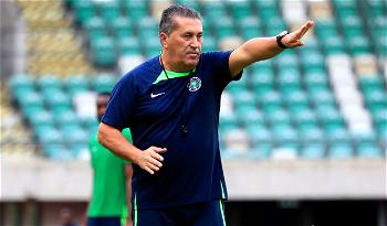 AFCON 2023: Super Eagles need at least one goal to beat Cameroon - Peseiro