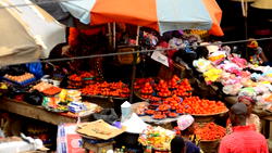 Securing Nigeria’s food future through  fertiliser revolution