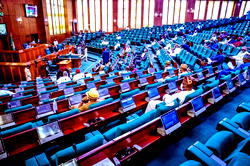 NASS settles for joint probe of economic sabotage in petroleum sector