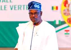 ‘Japa syndrome’ will end soon among health professionals – FG