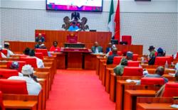 Abia nominee rejects Tinubu’s appointment – Senate