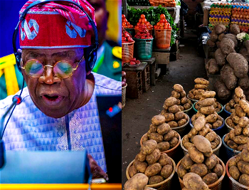 FG rules out food importation, says Nigeria capable of feeding itself
