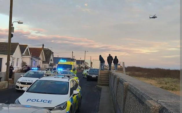 Two dogs maul woman to death in UK