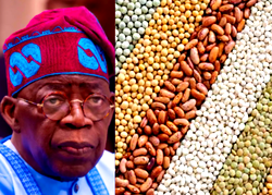 Nigeria economy moving, Tinubu’s policies slowing down food inflation  – Edun